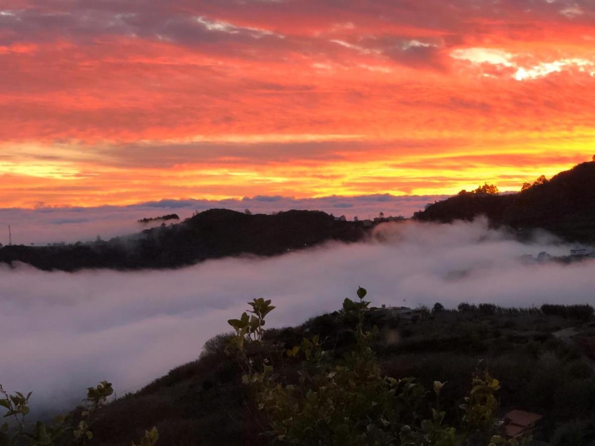 Casa Rural Con Bonitas Vistas Teror Exteriér fotografie